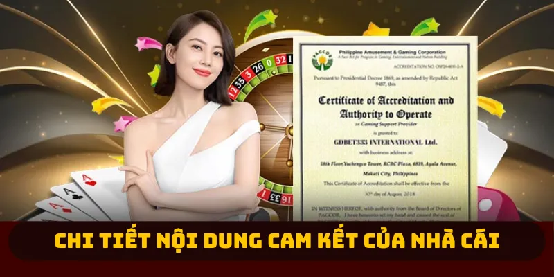 Chi tiết nội dung cam kết của nhà cái 